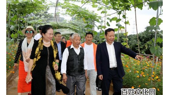 第一夫人集團“健康銀行”科技康養(yǎng)項目落地海南瓊海