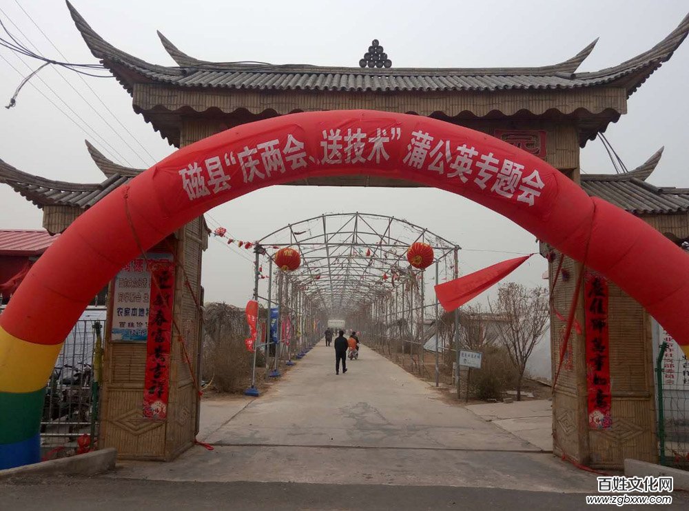 河北磁縣舉辦“慶兩會(huì)、送技術(shù)”蒲公英專題培訓(xùn)會(huì)