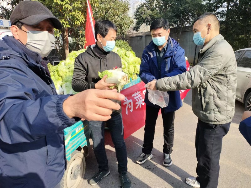 安陽民建會員愛心接力為社區(qū)捐贈蔬菜