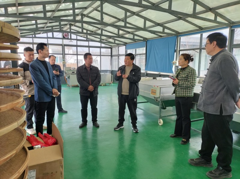 中媒企業(yè)文化發(fā)展工作委員會一行到河北蒲公英產(chǎn)業(yè)基地調(diào)研