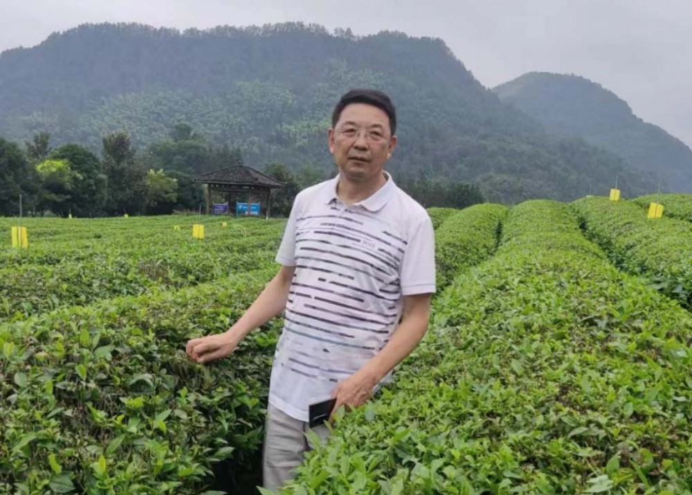 《中國(guó)現(xiàn)代文化》雜志社編委——楊志強(qiáng)