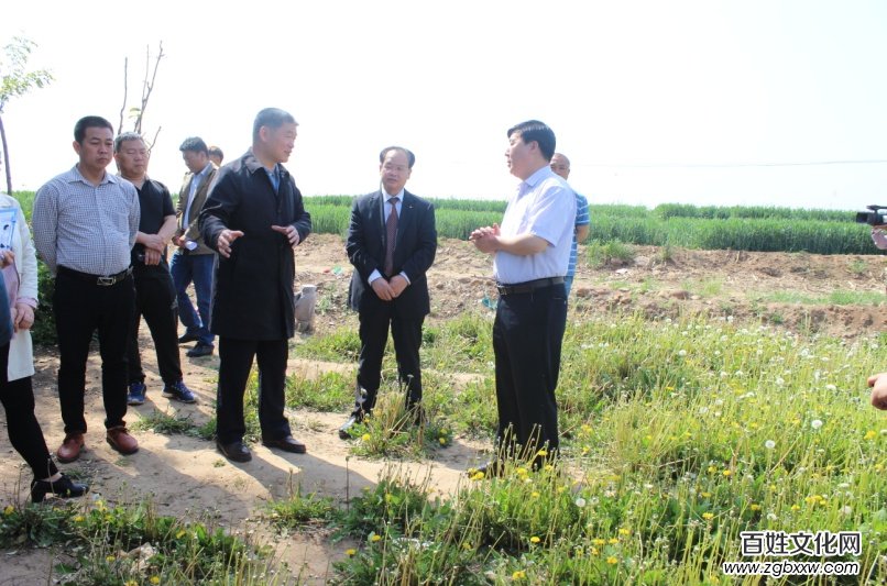 磁縣“蒲公英產(chǎn)學(xué)研基地”、“蒲公英制品研發(fā)基地” 正式掛牌成立
