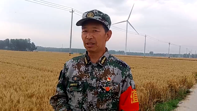 搶夏收麥歸倉 好政策水入田—記山東德州寧津縣王吏目村小農(nóng)水工程 搶夏收麥歸倉 好政策水入田—記山東德州寧津縣王吏目村小農(nóng)水工程