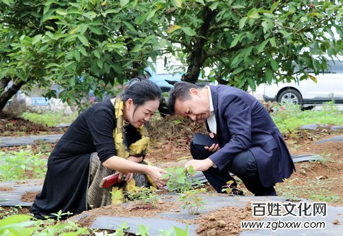 第一夫人集團“健康銀行”科技康養(yǎng)項目落地海南瓊海