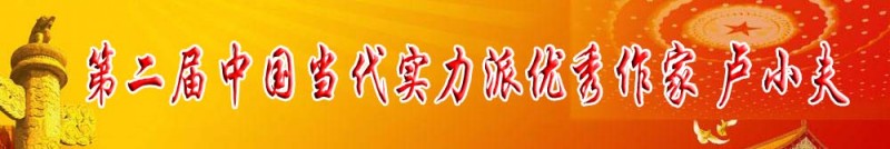 第二屆中國當(dāng)代實(shí)力派優(yōu)秀作家 盧小夫