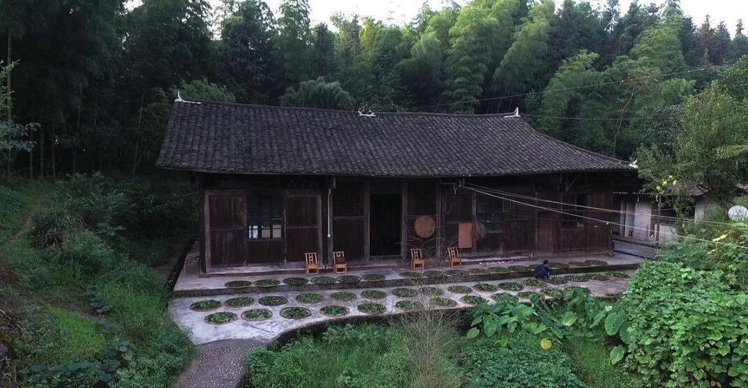 華祥龍茶業(yè)創(chuàng)始人——中國茶癡董紹林 華祥龍茶業(yè)創(chuàng)始人——中國茶癡董紹林