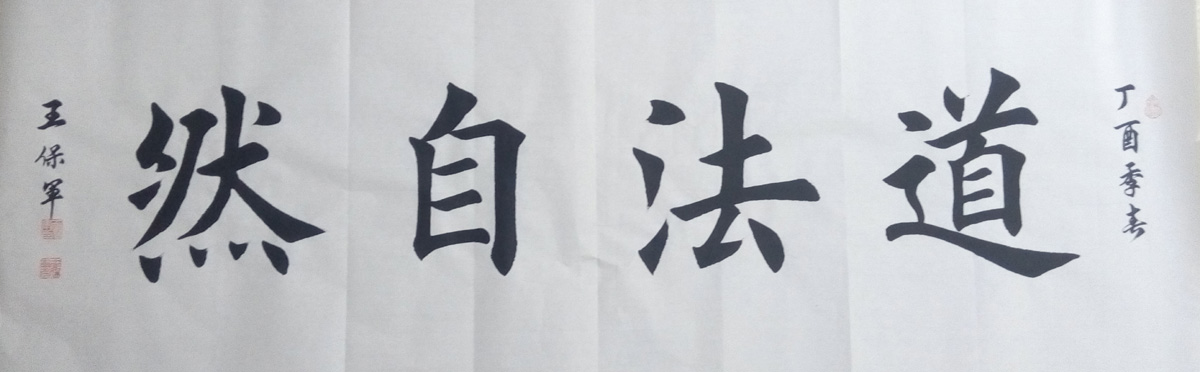 中國(guó)當(dāng)代實(shí)力派書畫名家王保軍書法藝術(shù)欣賞