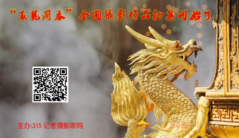 “辰龍鬧春”全國(guó)攝影作品征集開(kāi)始了